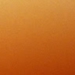 Meet your Posher, Leeann